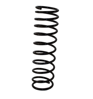 1302 + 1303 Beetle Front Spring